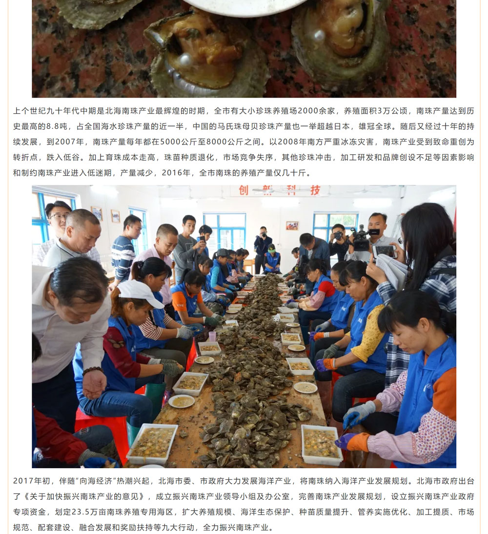 古老南珠，綻放異彩