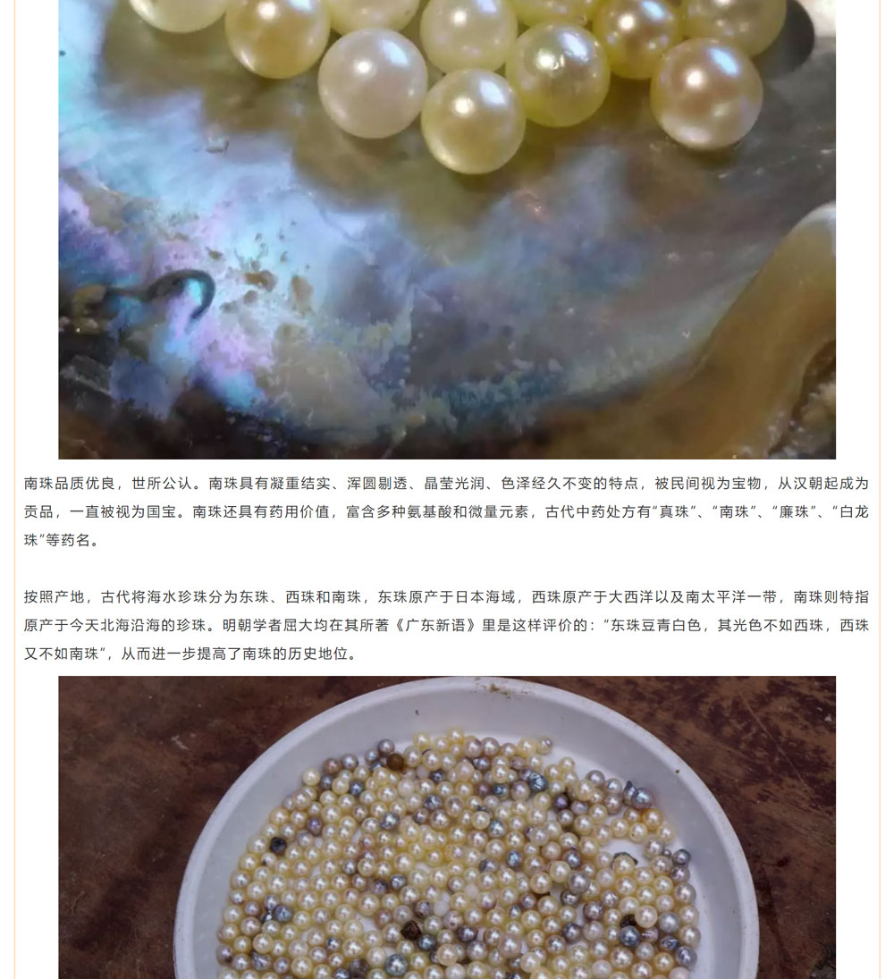 古老南珠，綻放異彩